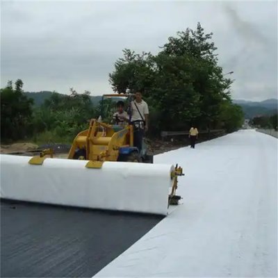 Crack-resistant Reinforcement Geotextile