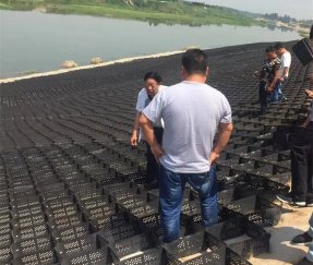 системы ячеистого ограничения CCS