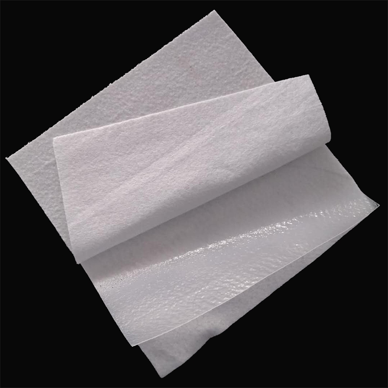 Composite geomembrane