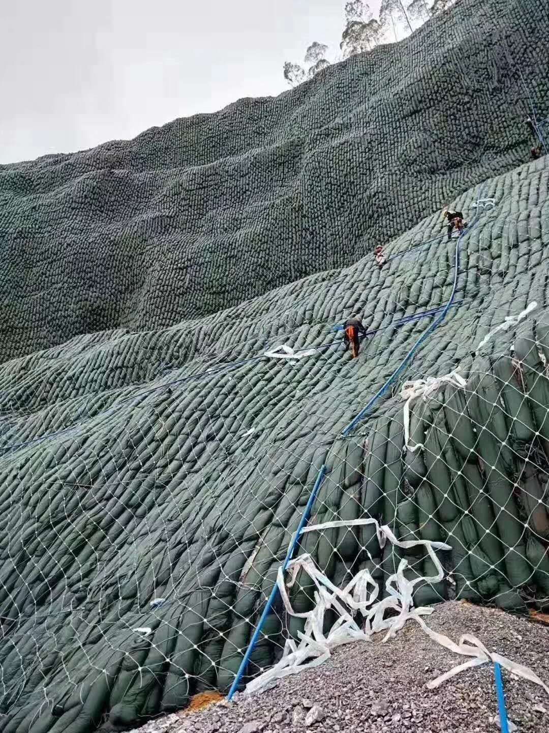 Ecological Greening of Bland Mountains.jpg