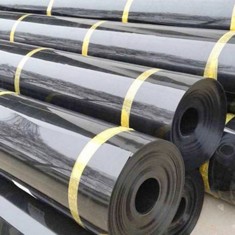 Geomembrane for hydraulic engineering