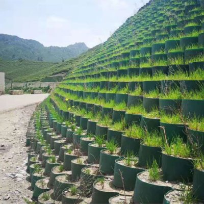 Mine re-vegetation