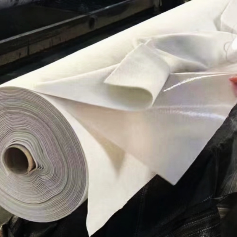 Two HDPE Membrane Costwith one membrane