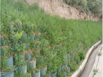 Сотовая георешетка для защиты склонов