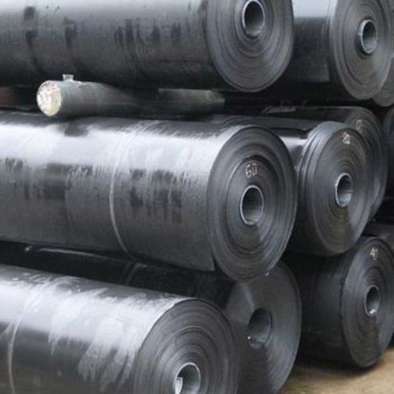 Geomembrane for hydraulic engineering
