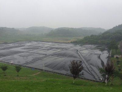 High-density polyethylene geomembranes