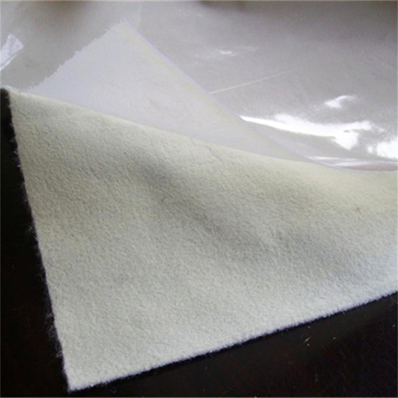 Composite geomembrane