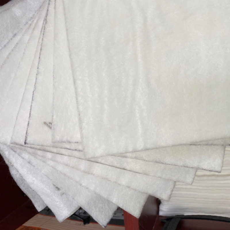 Geotextile for Sewage Ponds