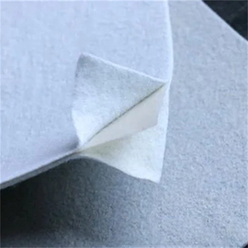 Composite geomembrane