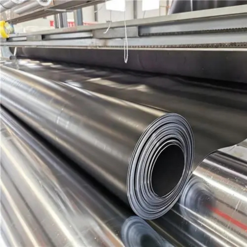 Geomembrane for hydraulic engineering