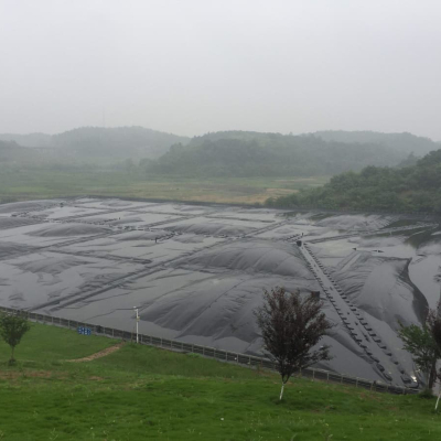 geomembrane