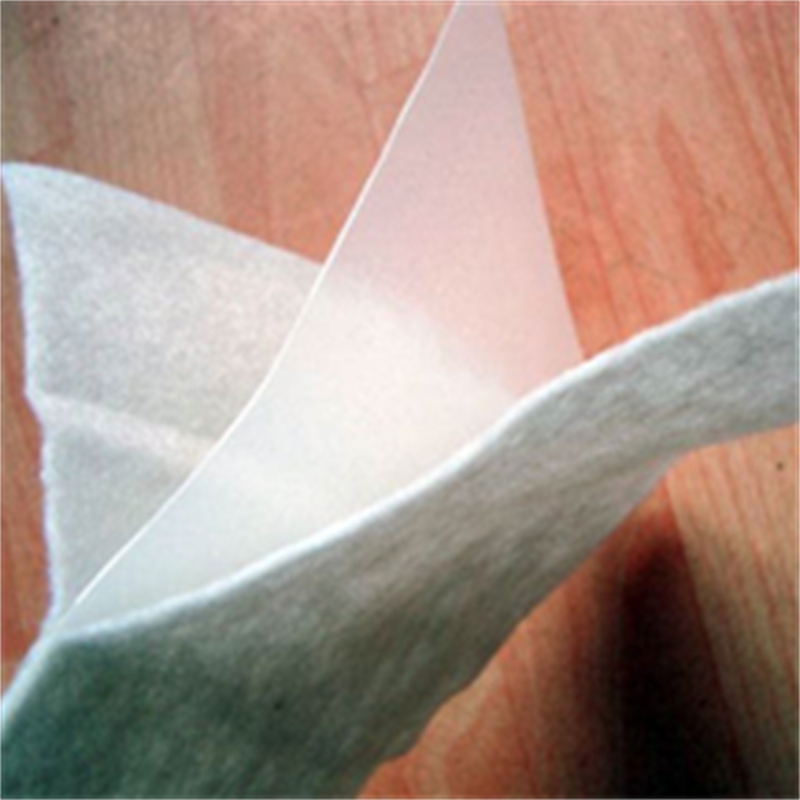 Composite geomembrane