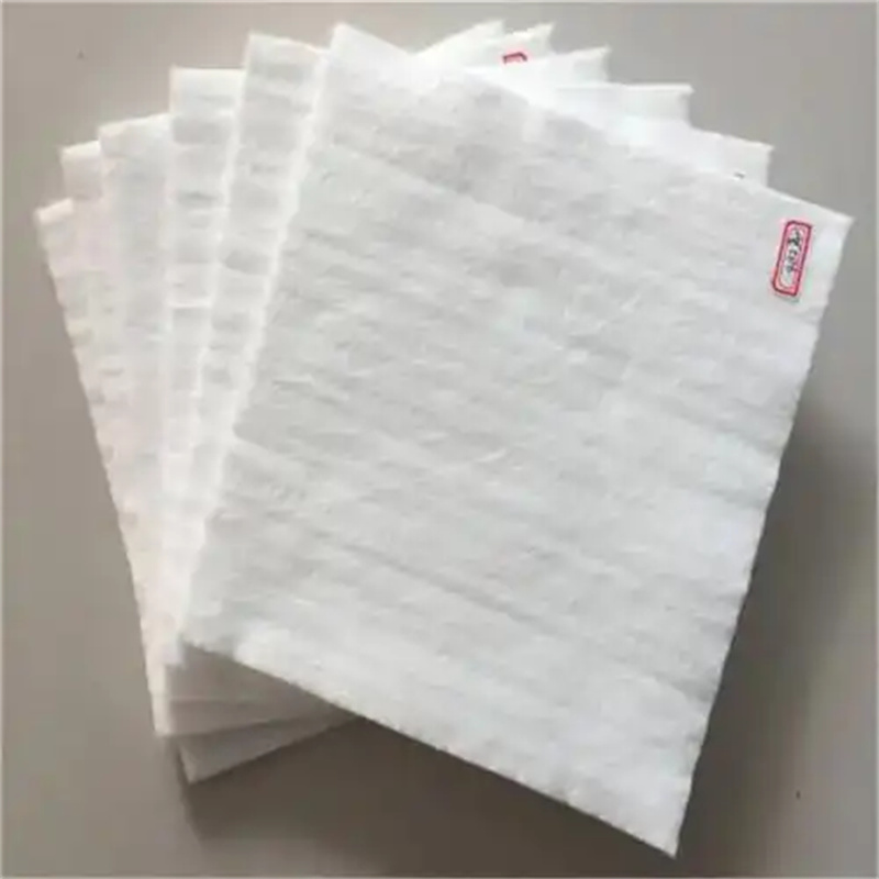 Geotextile for Biochemical Tank