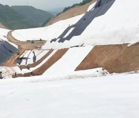 Mountain Slope Protection Geotextile