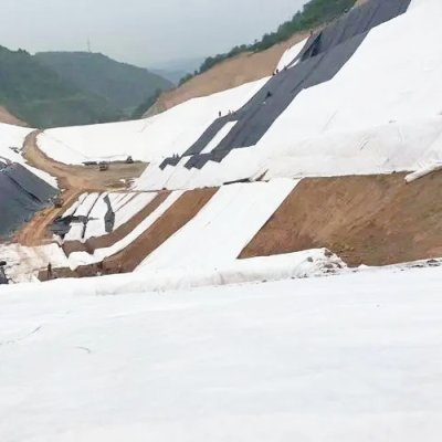 Mountain Slope Protection Geotextile